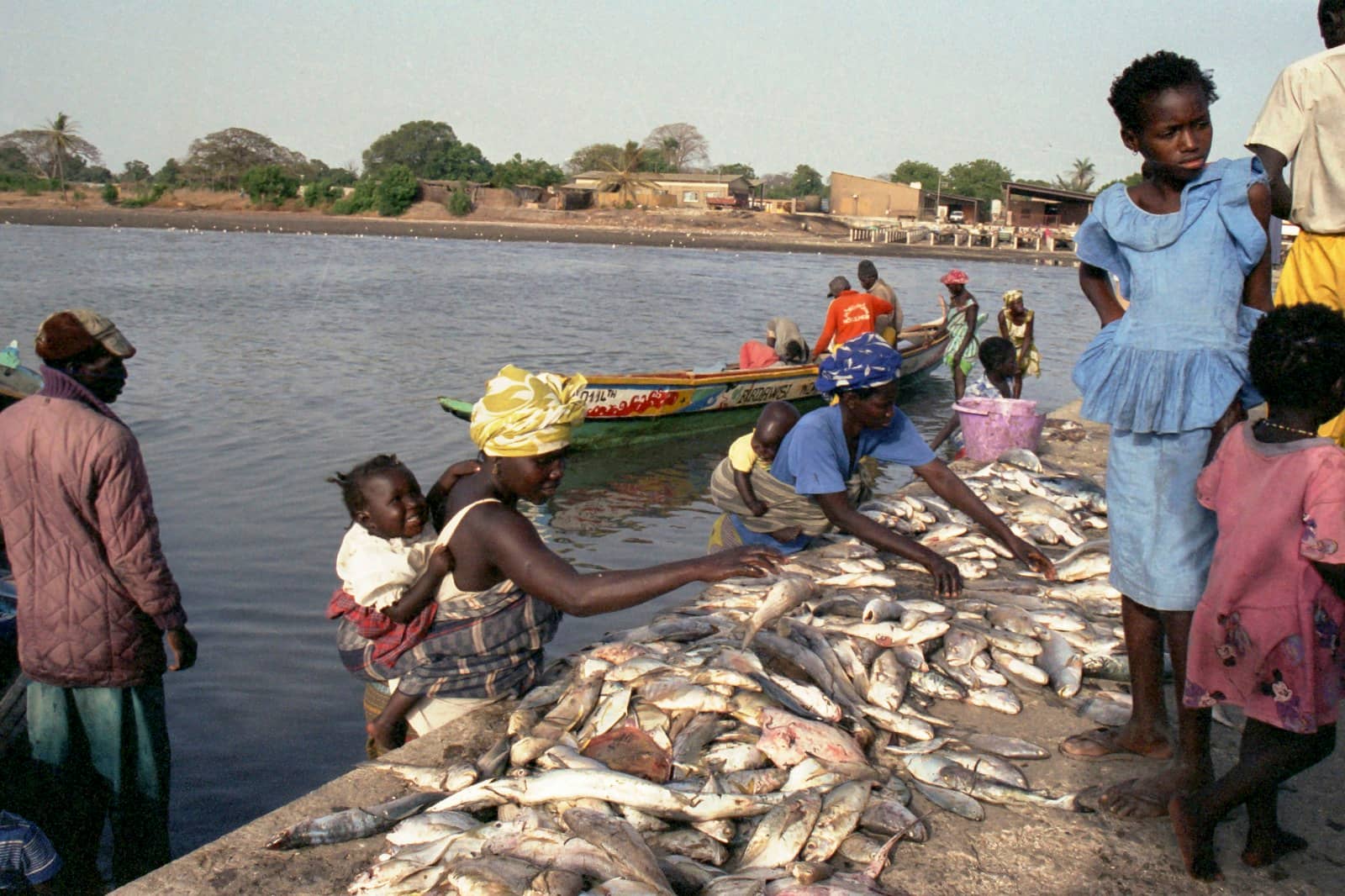 Vente de poisson au bord de l'eau à Toubacouta
